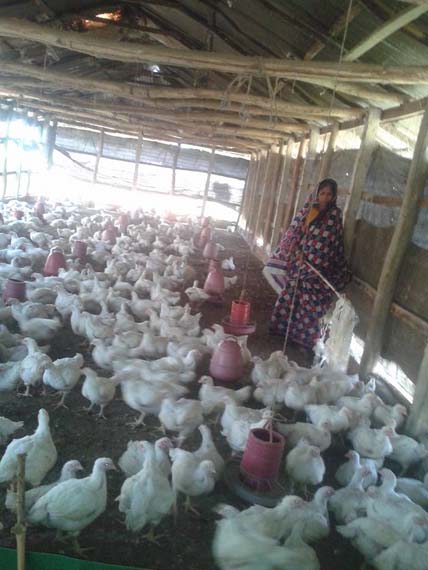 An Entrepreneur is working in her own poultry firm. She received IGA loan, training and marketing and other assistance under ENRICH