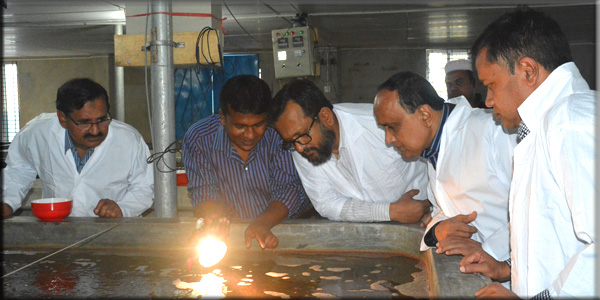 Crablet Observation by PKSF high officials in Crab Hatchery 