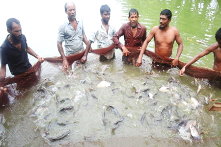 Fish Culture
