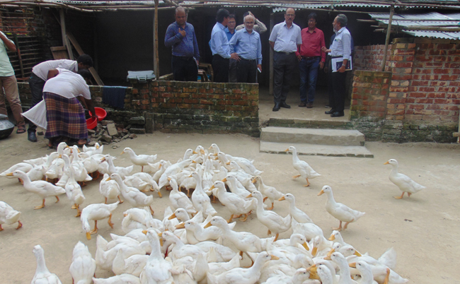 Visit-pekin-duck-rearing-activities-at-ajakas-foundation