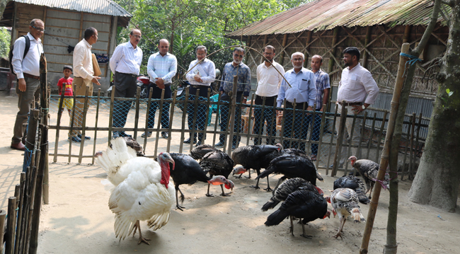 Vist-turkey-farming-activities-at-member-level-at-SHARP