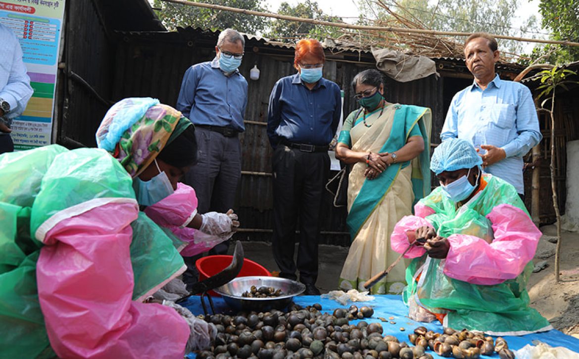 PKSF members processing snail meat for marketing in Parbatipur, Dinajpur.