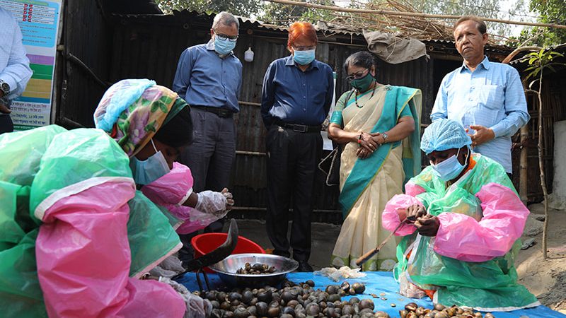 PKSF members processing snail meat for marketing in Parbatipur, Dinajpur.