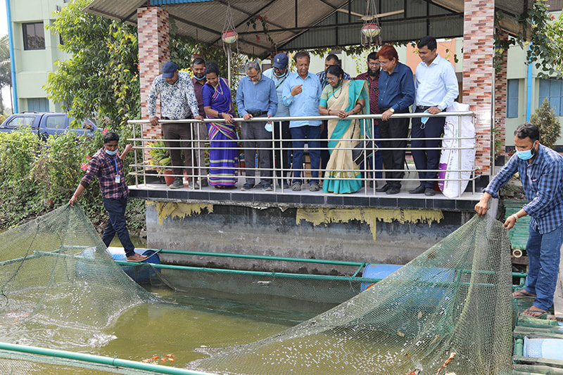 The PKSF delegation visiting an ornamental fish breeding farm in Parbatipur, Dinajpur. 